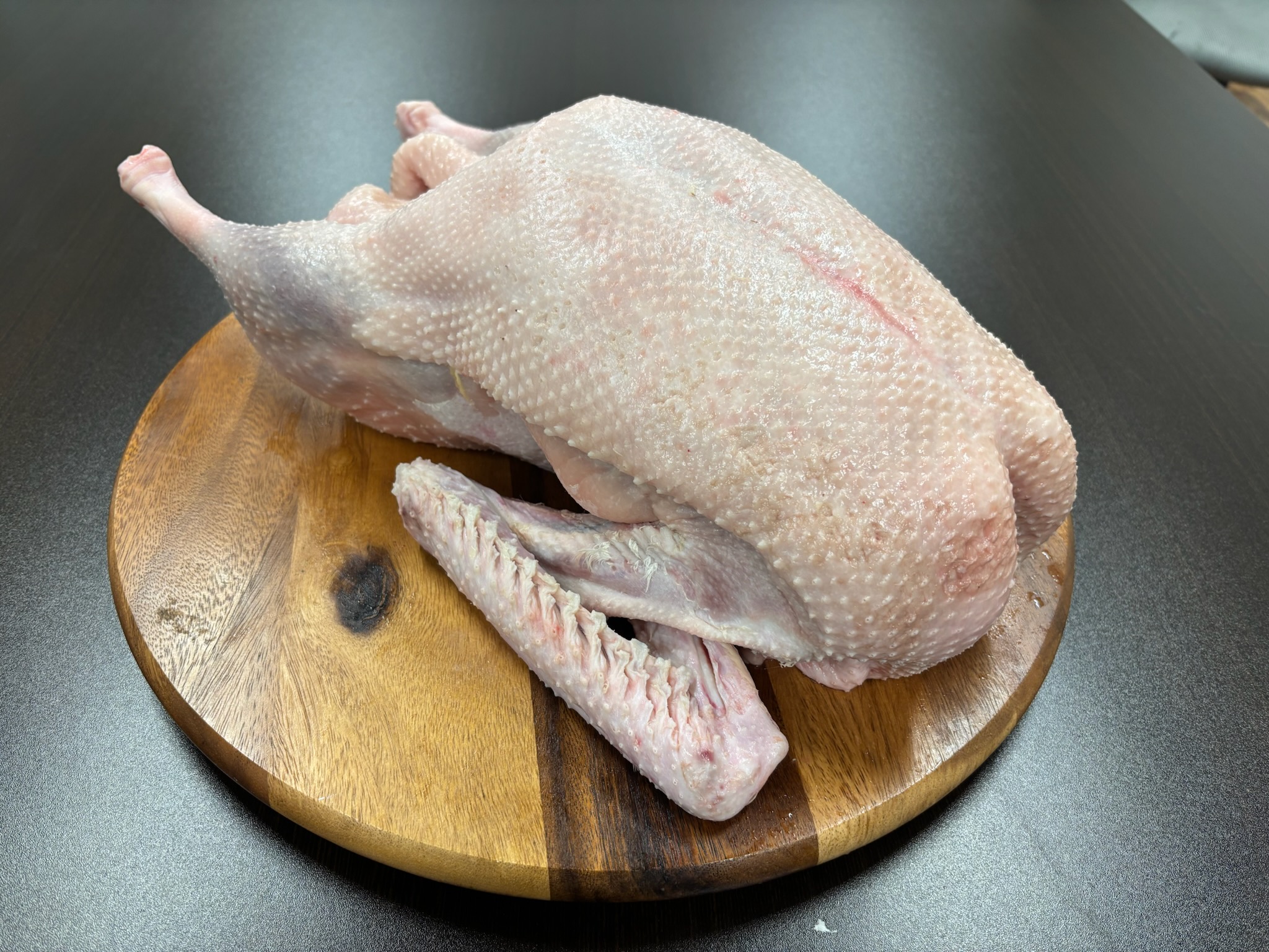 Fresh White Embden Goose